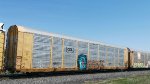 CSX B22146 (Body) TTGX 716214 (Flat)